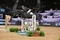 William Whitaker leads the way in Grandstand Welcome Stakes at HOYS